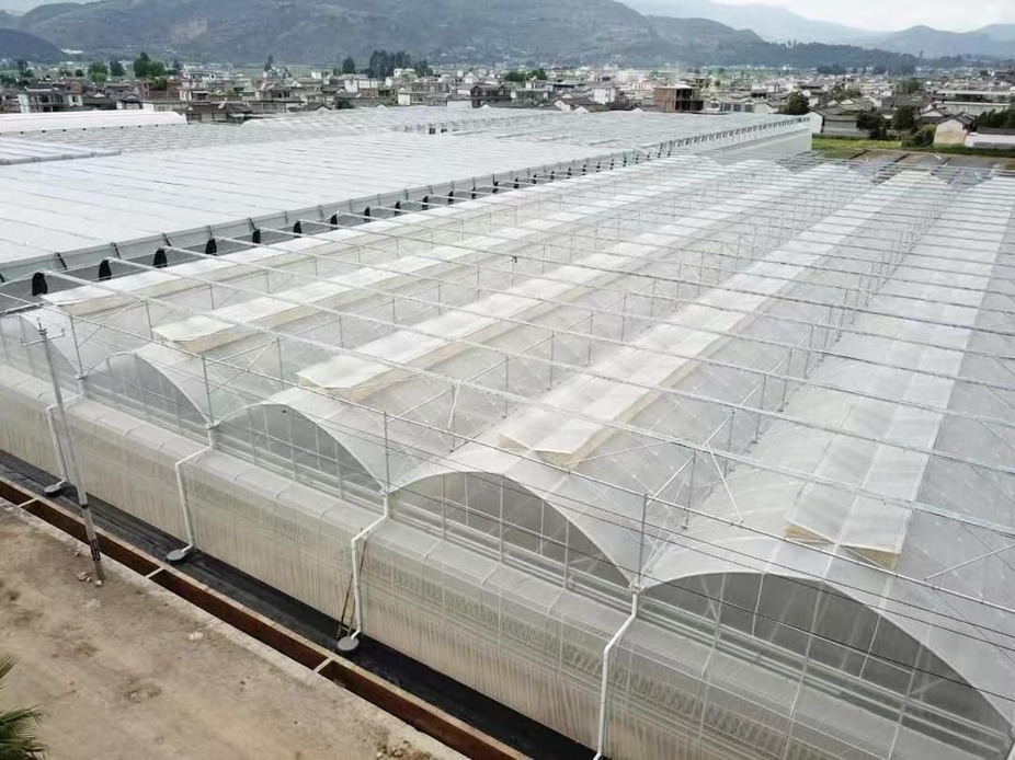 Greenhouse covering materials